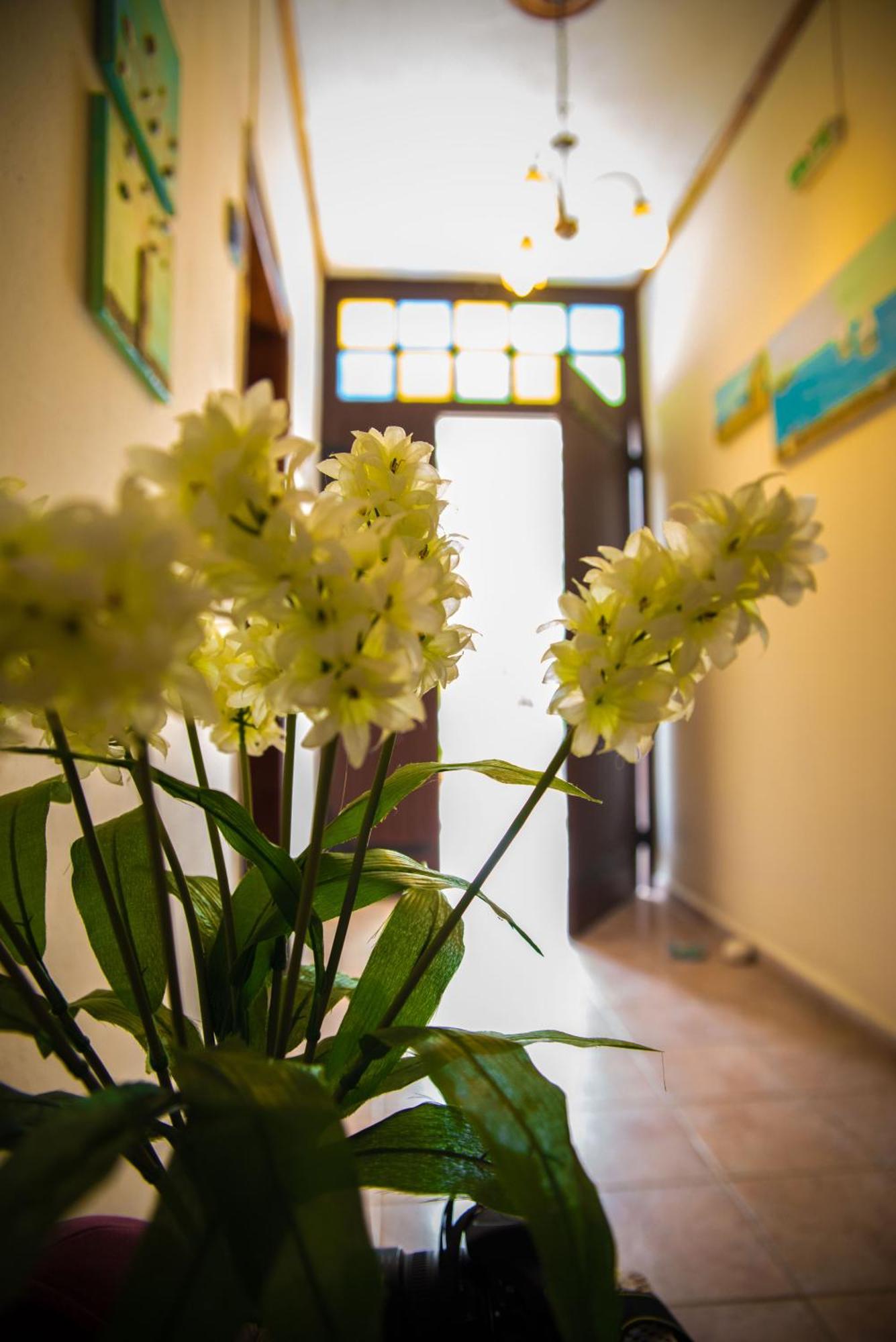Olga Studios Афиссос Номер фото